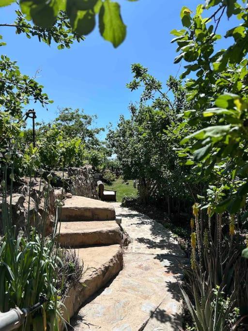 Lilly'S Finca - Romantischter Rueckzugsort - Pool Vilaflor Dış mekan fotoğraf