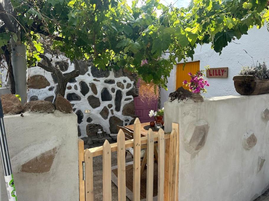 Lilly'S Finca - Romantischter Rueckzugsort - Pool Vilaflor Dış mekan fotoğraf
