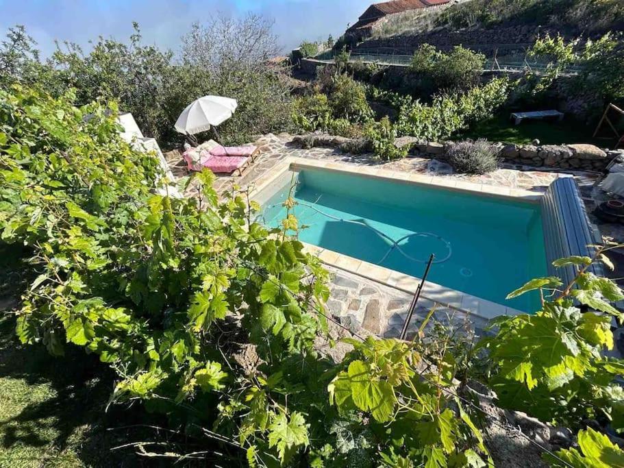 Lilly'S Finca - Romantischter Rueckzugsort - Pool Vilaflor Dış mekan fotoğraf