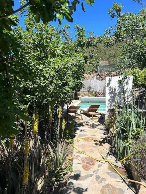Lilly'S Finca - Romantischter Rueckzugsort - Pool Vilaflor Dış mekan fotoğraf