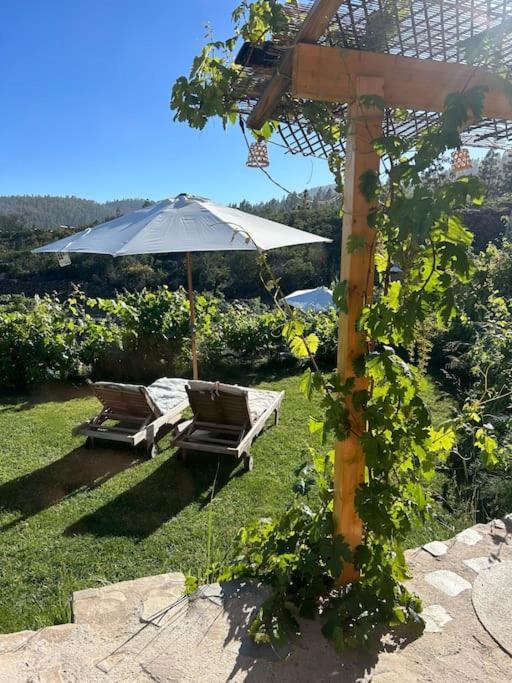 Lilly'S Finca - Romantischter Rueckzugsort - Pool Vilaflor Dış mekan fotoğraf