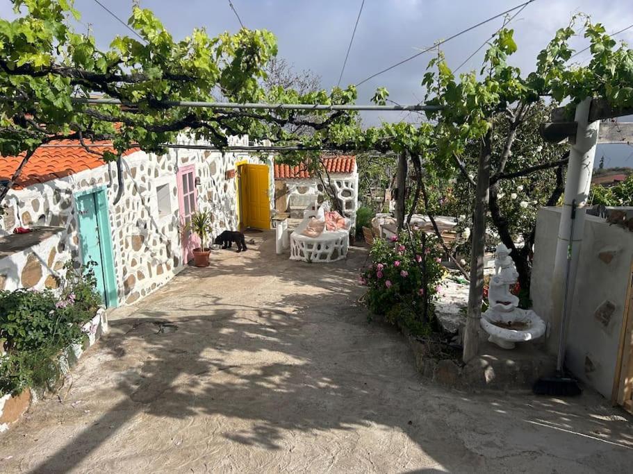 Lilly'S Finca - Romantischter Rueckzugsort - Pool Vilaflor Dış mekan fotoğraf