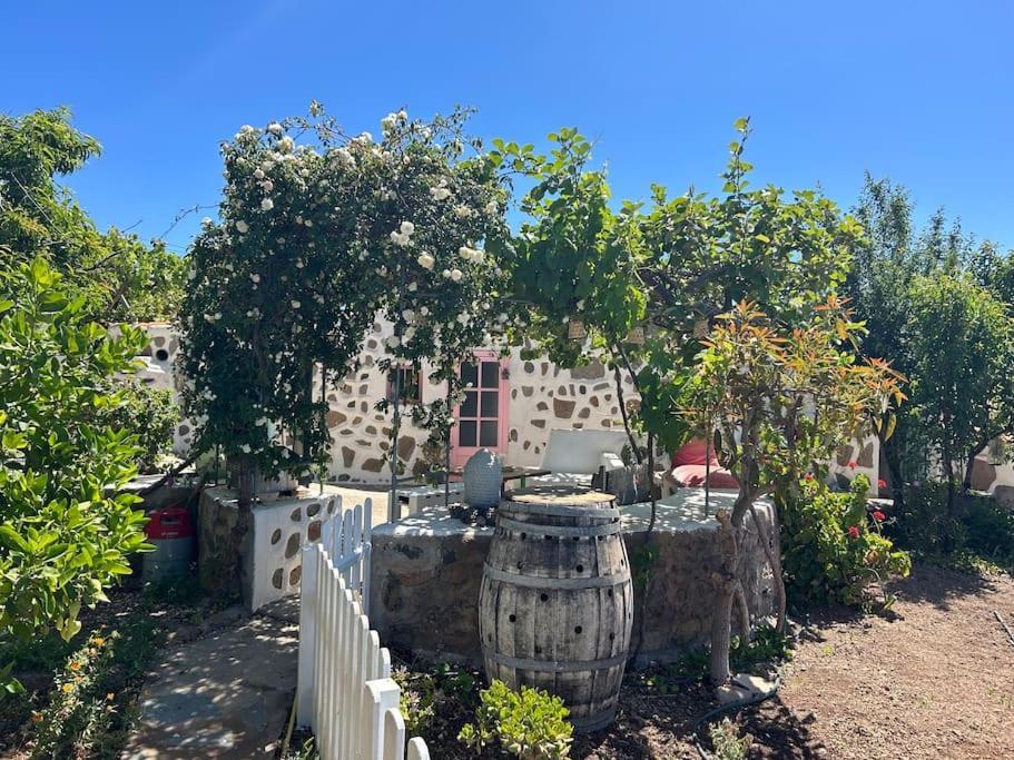 Lilly'S Finca - Romantischter Rueckzugsort - Pool Vilaflor Dış mekan fotoğraf