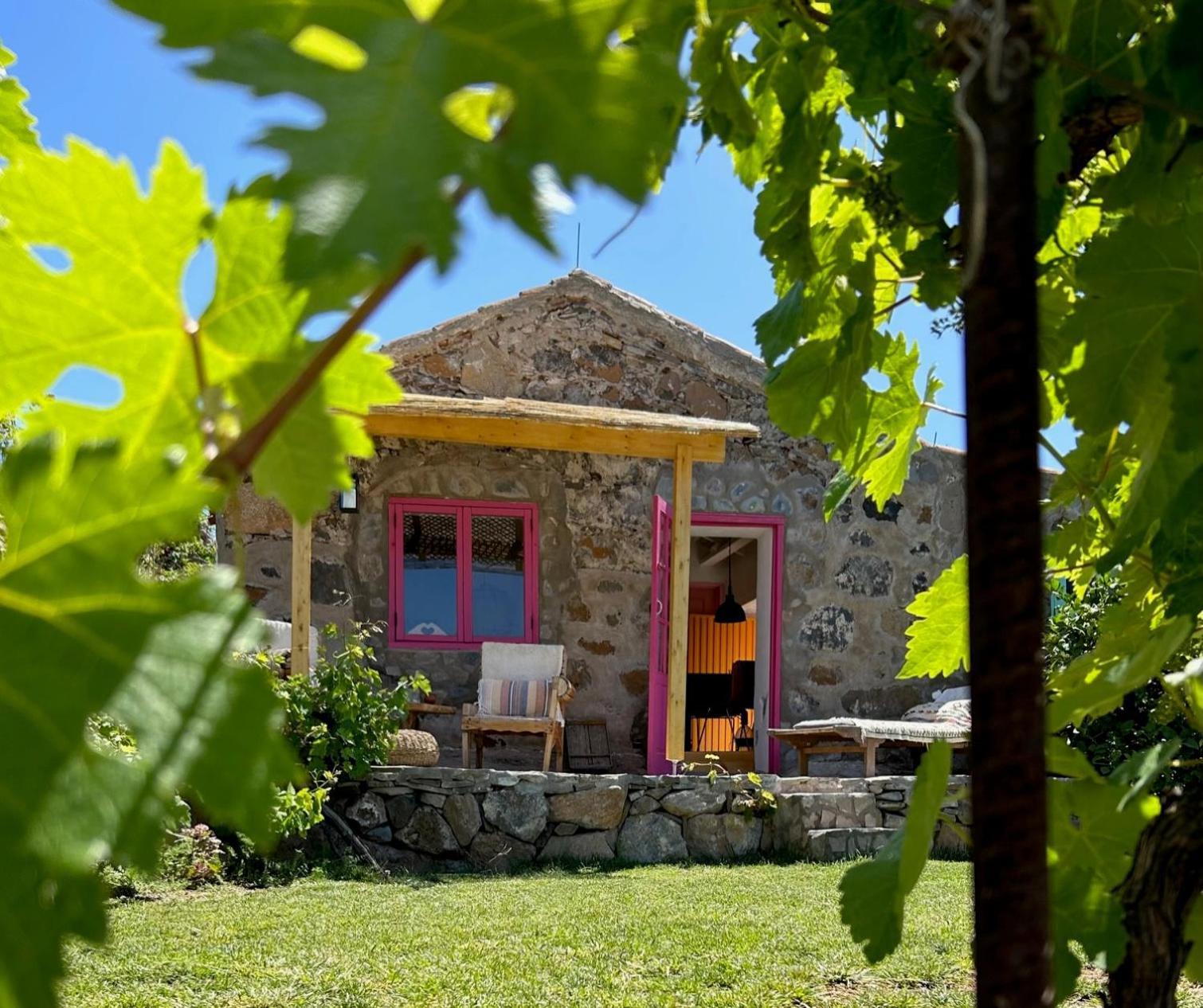 Lilly'S Finca - Romantischter Rueckzugsort - Pool Vilaflor Dış mekan fotoğraf
